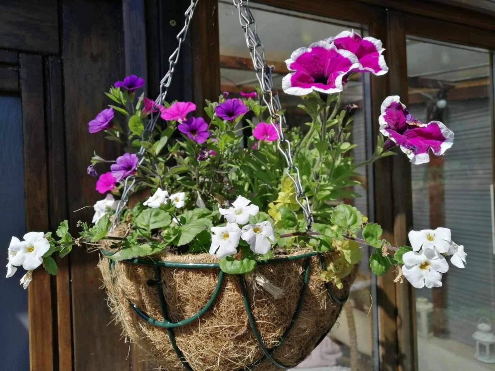 Normand Holiday Home - Vire Calvados Relaxing Rural Retreat Le Reculey Exteriör bild
